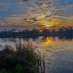 photo "About autumn morning ..."