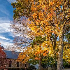 photo "pumpkins for sale"