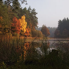 photo "Autumn colours"