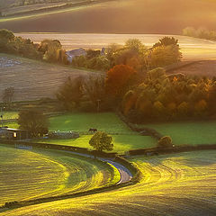 photo "I am going home"