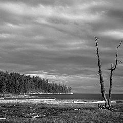 фото "Монголия-Прихубсугулье"