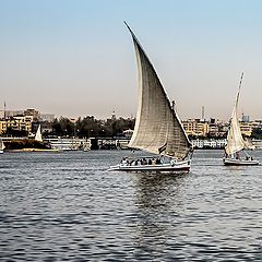 photo "Sailing on the nile"