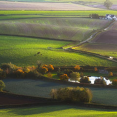 photo "Farmland"