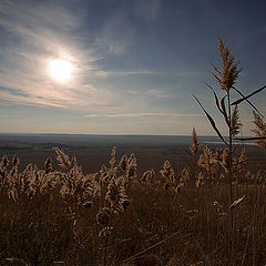 фото "осенние зарисовки..."