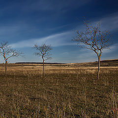 фото "Осень..."