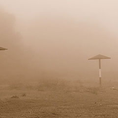 photo "***"