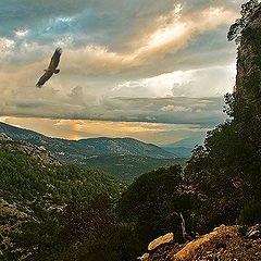 фотоальбом "Пейзаж"