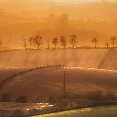 фото "Last rays"