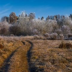 фото "Дорога к домику на холме..."