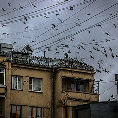 фото "В Даевом переулке"