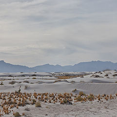 photo "White waves"