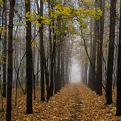 фото "Осень..."