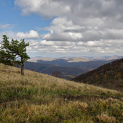 фото "Осенние перемены."