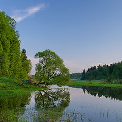 фото "Майское утро"