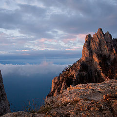 фото "В первых лучах"