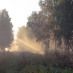 фото "Раннее утро августа"