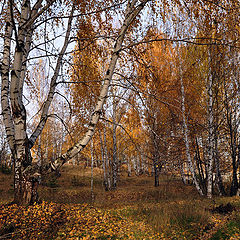 фото "Осеннее настроение"