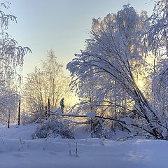 фото "Зимним солнечным днём"