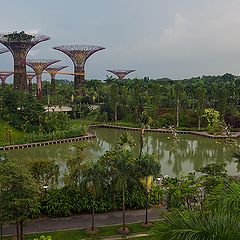 фото "Gardens by the Bay"