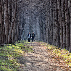 фото "Твикс"