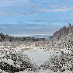 фото "Замерзшее лесное озеро"