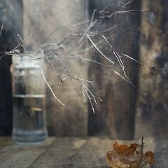 фотоальбом "Still lifes"