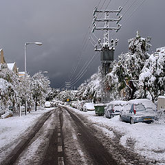 photo "Urban winter"