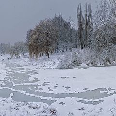 фото "Декабрьским вечером, когда падал снег..."