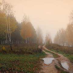 фото "В золотом тумане осени"
