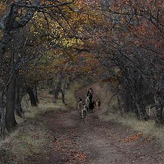 фото "Осенняя пастораль"