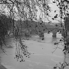 photo "Rainy day. Tevere."