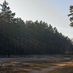 фото "Осенний пейзаж."