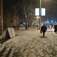 фото "По следам первого снега"