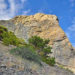 фото "У горы Орел"