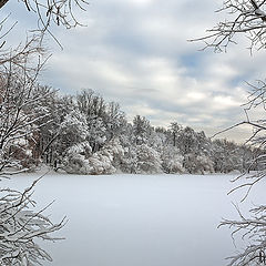 photo "Theatre of winter"