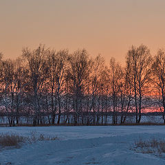 фото "- 39 по Цельсию"