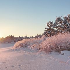 фото "Зимний восход в нежных тонах #2"