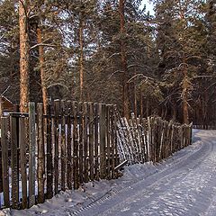 фото "За околицей."