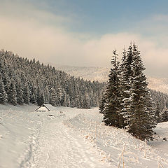 photo "***"
