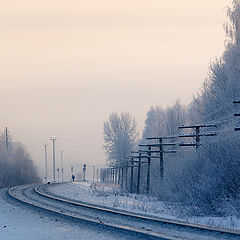 photo "Into the frosty distance"