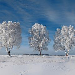 фото "Три красавицы в зимнем наряде))"