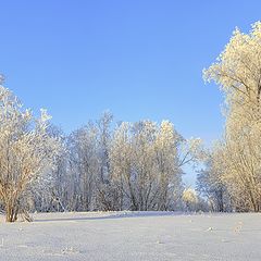 фото "В зимнем одеянии"