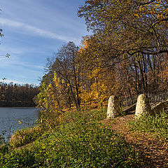 photo "From the series "Autumn in Kuzminki""