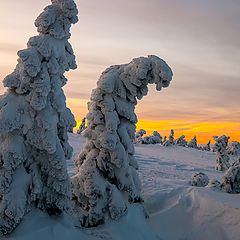 photo "Am Brocken"