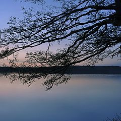 photo "Blue hour"