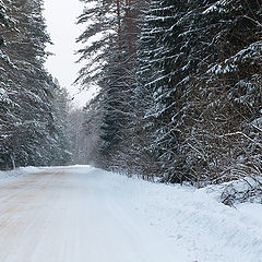 фото "Зимняя дорога"