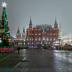 фото "время новогодних ёлок"