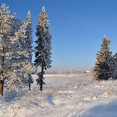 фото "Зимний наряд"