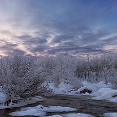 фото "Морозный день на крайнем севере"