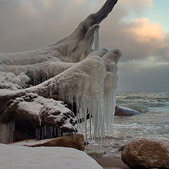 photo "Old New Year"